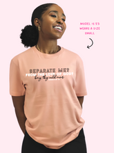 Load image into Gallery viewer, &quot;Honey, They Could Never&quot; Dusty Pink T-Shirt
